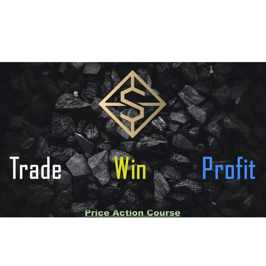 TWP Price Action Course 中英字幕-趋势跟踪之道