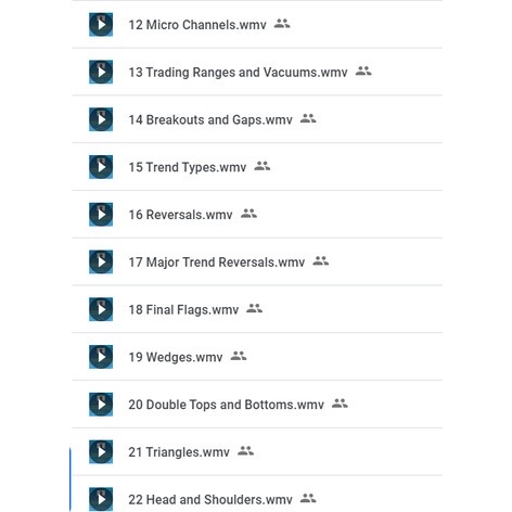 图片[2]-Al Brooks Trading Course (53 Lessons)-TheTrendFollowing