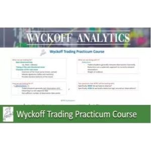 Wyckoff Trading Practicum Course-TheTrendFollowing