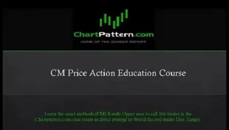 图片[2]-DanZanger CM Price Action Course &​Randy Opper丹 赞格价格行为解读课程中英人工字幕-TheTrendFollowing