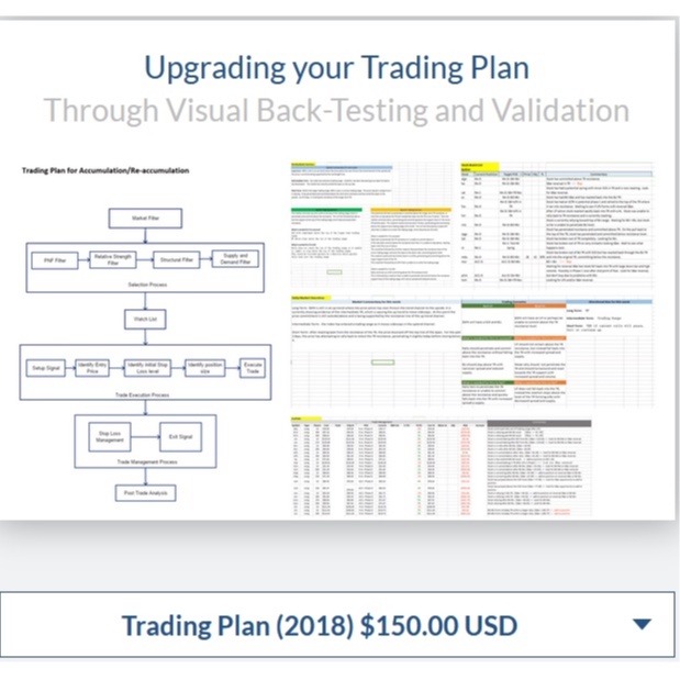 Wyckoff Analytics – Upgrading your Trading Plan Through Visual Back-Testing and Validation (2018)中英字幕