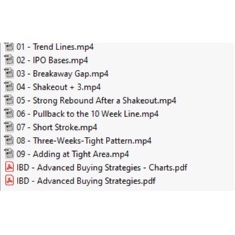 图片[2]-[Full Course] IBD Investor Business Daily : Advanced Buying Strategies Level 5 中英字幕-TheTrendFollowing