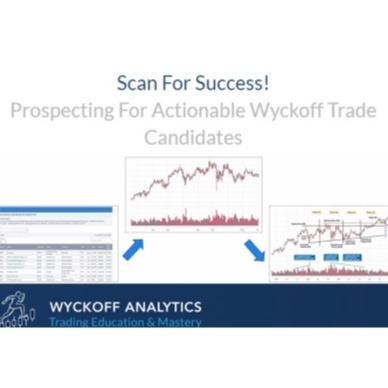 Wyckoff analytics Scan For Success Part 1 中英字幕-趋势跟踪之道