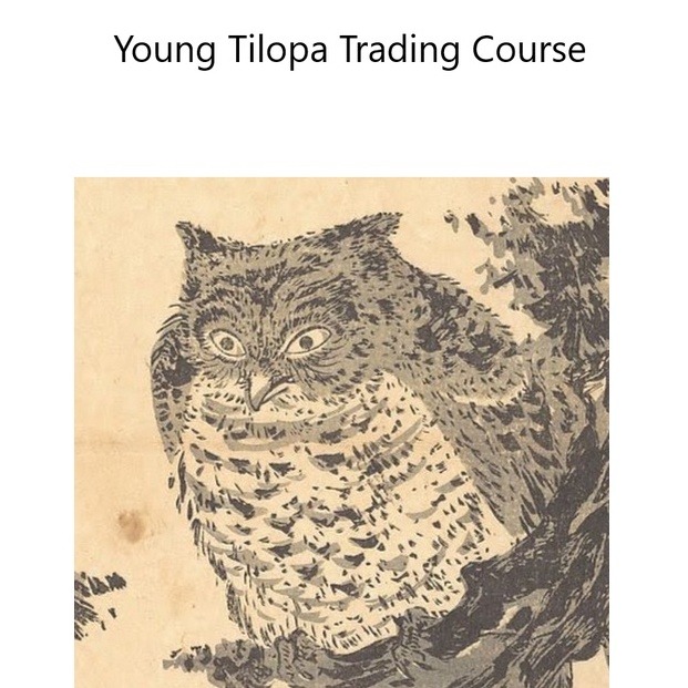 Young Tilopa Trading Course-趋势跟踪之道