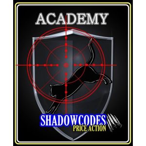 Hanzo Shadowcodes Academy-TheTrendFollowing
