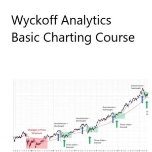 Wyckoff Analytics – Basic Charting Course 中英字幕-TheTrendFollowing