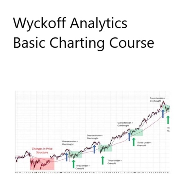 Wyckoff Analytics – Basic Charting Course 中英字幕