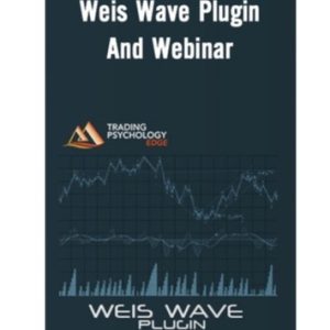 David Weis : Weis Wave Webinar-TheTrendFollowing