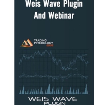 David Weis : Weis Wave Webinar-趋势跟踪之道