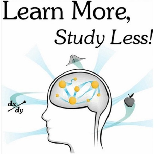 [Video Course] Learn More & Study Less by Scott Young-趋势跟踪之道