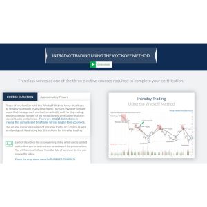 Wyckoffanalytics Intraday Trading Using the Wyckoff Method-TheTrendFollowing