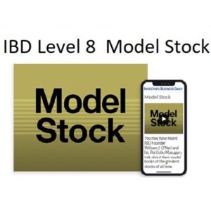 IBD Investor Business Daily Level 8 Model Stock 中英字幕-TheTrendFollowing