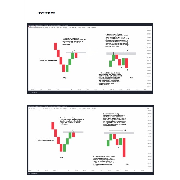 图片[5]-SRC Smart Raja Concepts ~电子书-TheTrendFollowing