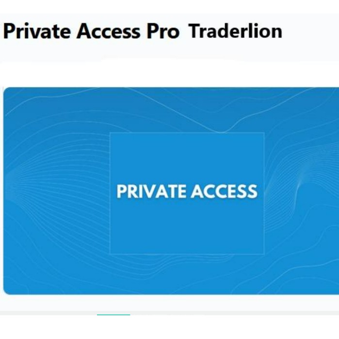 Traderlion Private Access Webinars 2021/2022 中英字幕-趋势跟踪之道