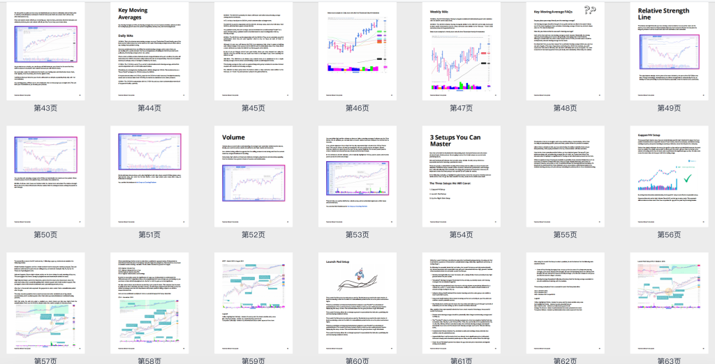 图片[5]-2023 TL交易大会day1~day4视频中英字幕 & 终极交易指南115页彩色高清pdf（含RSL相对强度线2.0结合MA21 通达信代码）-TheTrendFollowing