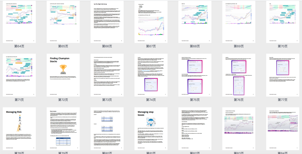 图片[6]-2023 TL交易大会day1~day4视频中英字幕 & 终极交易指南115页彩色高清pdf（含RSL相对强度线2.0结合MA21 通达信代码）-TheTrendFollowing