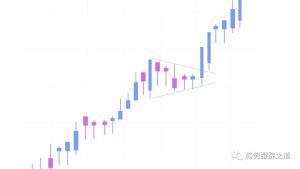 深度理解枢轴点(Pivot Points择时关键点):突破股票交易的最佳买入点-TheTrendFollowing