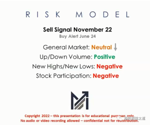 工具~根据马克MPA中的风险模型做的大盘量化指标引言-TheTrendFollowing