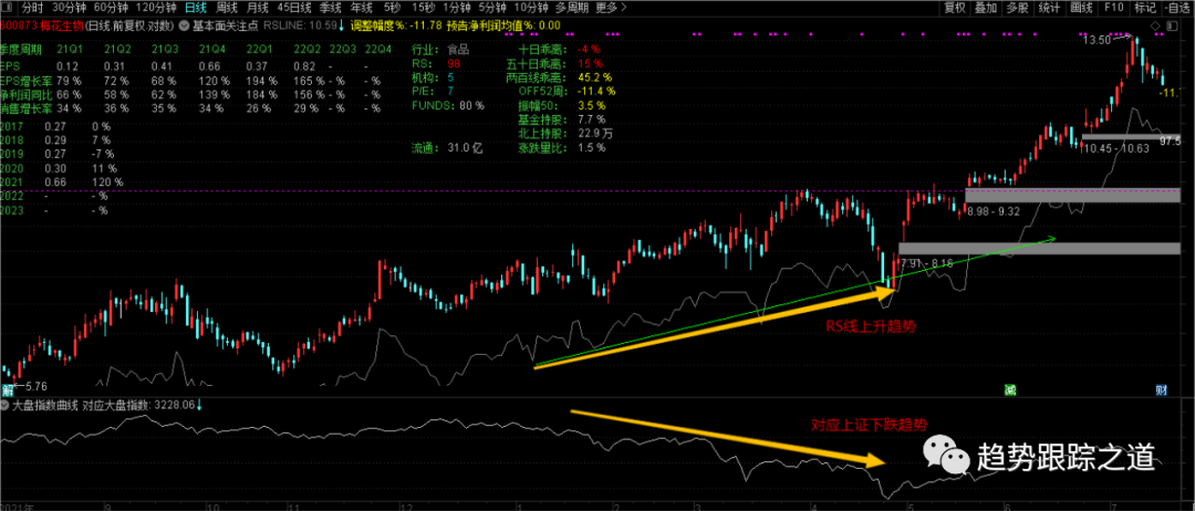 图片[8]-RS线如何显示在主图？市场指数曲线和RS线如何同时显示在一起？就像Marketsmith显示的那样超级实用（含代码）-TheTrendFollowing