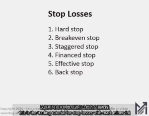 47.Stop-Loss Tutorial Jan 22, 2024 MPA教程 中英字幕-TheTrendFollowing