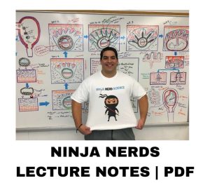 Ninja Nerd Lecture Notes PDF-TheTrendFollowing