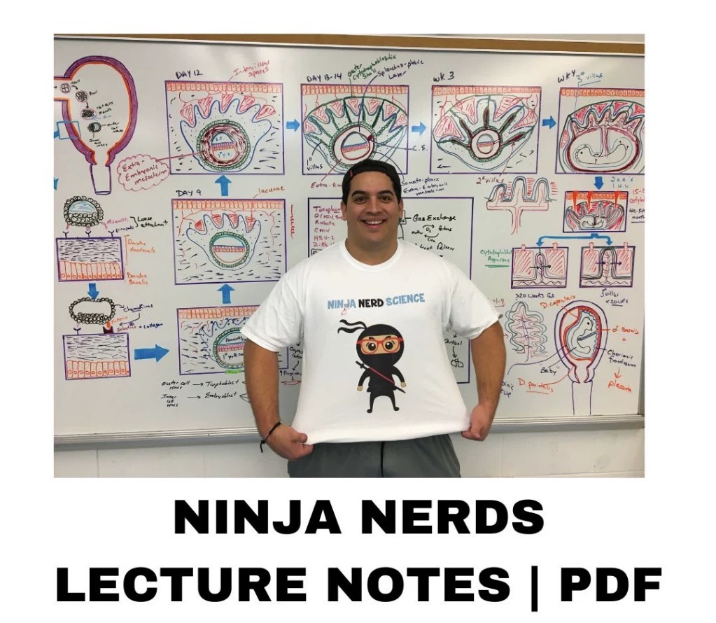 Ninja Nerd Lecture Notes PDF-趋势跟踪之道