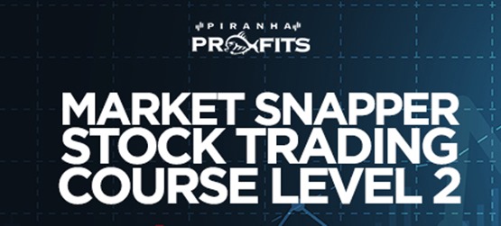 Piranha Profits – Stock Trading Course Level 2 Market Snapper-趋势跟踪之道