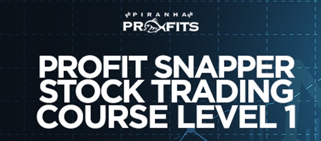 Piranha Profits – Stock Trading Course Level 1 Profit Snapper-趋势跟踪之道