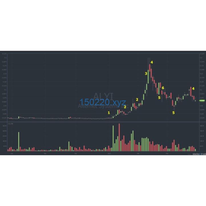图片[1]-[Full Course] Pennystocking Framework by Timothy Sykes-TheTrendFollowing