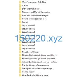 图片[3]-LEPUS Proprietary Trading Foreign Exchange, Commodities & Indicies by Richard Jackson-TheTrendFollowing