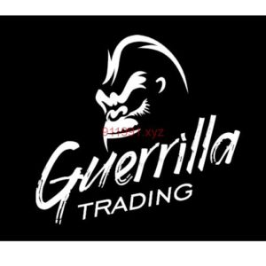 The Guerrilla Online Video Course by Guerrilla Trading-TheTrendFollowing
