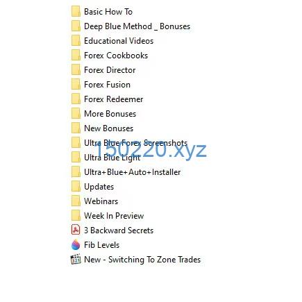 图片[2]-Russ Horn – Ultra Blue Forex-TheTrendFollowing