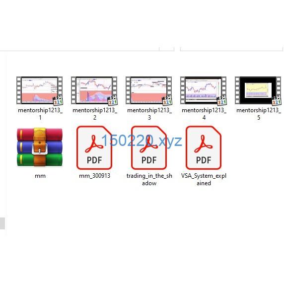 图片[1]-VSA Advanced Mentorship Course-TheTrendFollowing