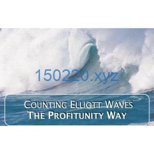 Counting Elliott Waves The Profitunity Way Justine Williams-Lara-TheTrendFollowing