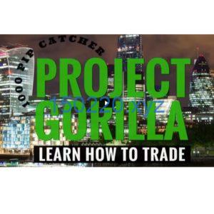 Project Gorilla Learn How To Trade-TheTrendFollowing