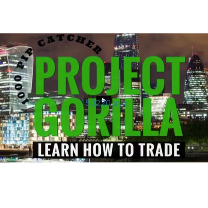 Project Gorilla Learn How To Trade-趋势跟踪之道