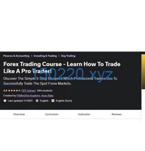 Forex Trading Course - Learn How To Trade Like A Pro Trader!-TheTrendFollowing
