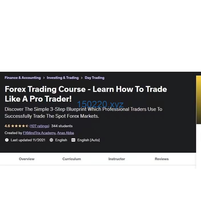 Forex Trading Course – Learn How To Trade Like A Pro Trader!-TheTrendFollowing