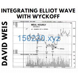 David Weis - Integrating Elliot Wave with Wyckoff ( MP3s & PDF)-TheTrendFollowing