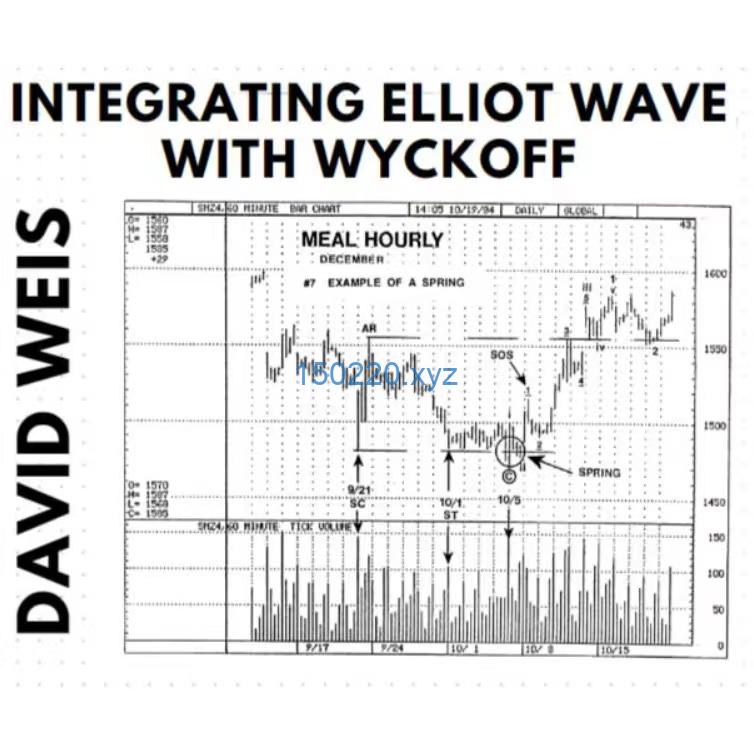 David Weis – Integrating Elliot Wave with Wyckoff ( MP3s & PDF)-趋势跟踪之道