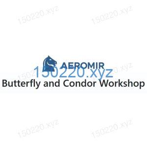 Aeromir – Butterfly and Condor Workshop-TheTrendFollowing